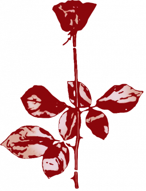 Violator rose, transparent BG.png